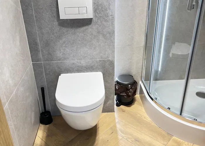 Wiosełko Apartament *